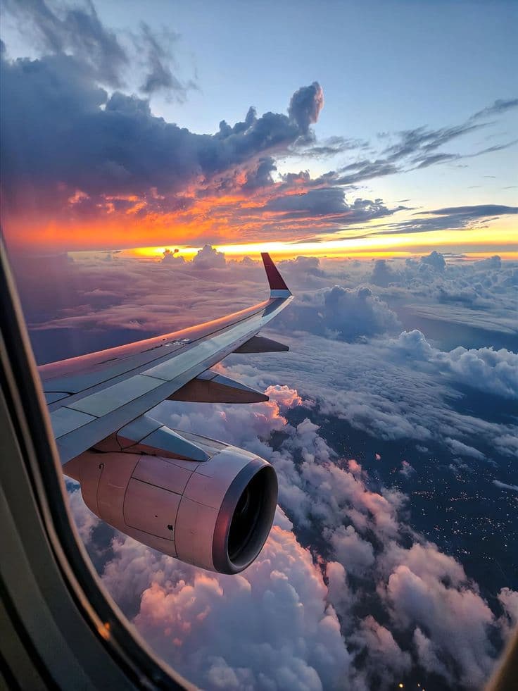 Domestic & International Flights